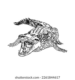 Hand-drawn pencil graphics, crocodile, alligator, croc. Engraving, stencil style. Black and white logo, sign, emblem, symbol. Stamp, seal. Simple illustration. Sketch.