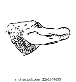 Hand-drawn pencil graphics, crocodile, alligator, croc. Engraving, stencil style. Black and white logo, sign, emblem, symbol. Stamp, seal. Simple illustration. Sketch.
