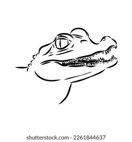 Hand-drawn pencil graphics, crocodile, alligator, croc. Engraving, stencil style. Black and white logo, sign, emblem, symbol. Stamp, seal. Simple illustration. Sketch.