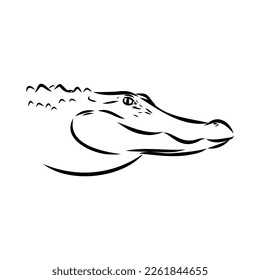 Hand-drawn pencil graphics, crocodile, alligator, croc. Engraving, stencil style. Black and white logo, sign, emblem, symbol. Stamp, seal. Simple illustration. Sketch.