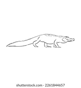 Hand-drawn pencil graphics, crocodile, alligator, croc. Engraving, stencil style. Black and white logo, sign, emblem, symbol. Stamp, seal. Simple illustration. Sketch.