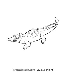 Hand-drawn pencil graphics, crocodile, alligator, croc. Engraving, stencil style. Black and white logo, sign, emblem, symbol. Stamp, seal. Simple illustration. Sketch.