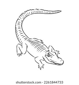 Hand-drawn pencil graphics, crocodile, alligator, croc. Engraving, stencil style. Black and white logo, sign, emblem, symbol. Stamp, seal. Simple illustration. Sketch.