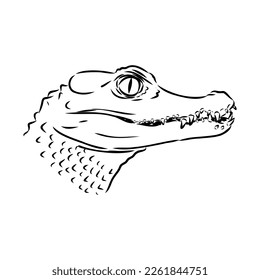 Hand-drawn pencil graphics, crocodile, alligator, croc. Engraving, stencil style. Black and white logo, sign, emblem, symbol. Stamp, seal. Simple illustration. Sketch.