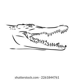 Hand-drawn pencil graphics, crocodile, alligator, croc. Engraving, stencil style. Black and white logo, sign, emblem, symbol. Stamp, seal. Simple illustration. Sketch.