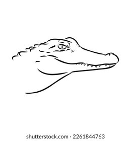 Hand-drawn pencil graphics, crocodile, alligator, croc. Engraving, stencil style. Black and white logo, sign, emblem, symbol. Stamp, seal. Simple illustration. Sketch.