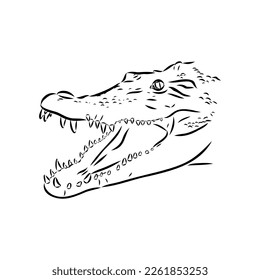 Hand-drawn pencil graphics, crocodile, alligator, croc. Engraving, stencil style. Black and white logo, sign, emblem, symbol. Stamp, seal. Simple illustration. Sketch.