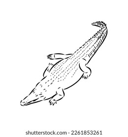 Hand-drawn pencil graphics, crocodile, alligator, croc. Engraving, stencil style. Black and white logo, sign, emblem, symbol. Stamp, seal. Simple illustration. Sketch.