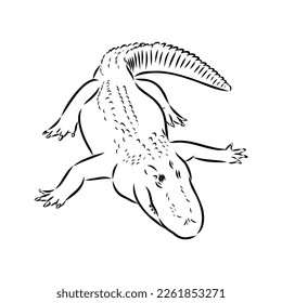 Hand-drawn pencil graphics, crocodile, alligator, croc. Engraving, stencil style. Black and white logo, sign, emblem, symbol. Stamp, seal. Simple illustration. Sketch.