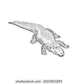 Hand-drawn pencil graphics, crocodile, alligator, croc. Engraving, stencil style. Black and white logo, sign, emblem, symbol. Stamp, seal. Simple illustration. Sketch.