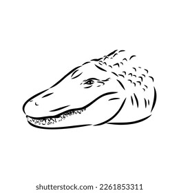 Hand-drawn pencil graphics, crocodile, alligator, croc. Engraving, stencil style. Black and white logo, sign, emblem, symbol. Stamp, seal. Simple illustration. Sketch.