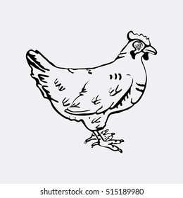 Hand-drawn pencil graphics, hen. Engraving, stencil style.