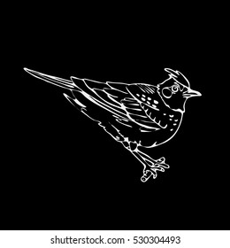 Hand-drawn pencil graphics, lark, oriole, chickadee, sparrow, blackbird, nightingale, finch, bunting, hangbird Engraving, stencil style. Black and white logo, sign, emblem, symbol. Stamp, seal. Sketch
