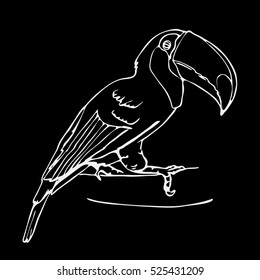 Hand-drawn pencil graphics, toucan bird. Engraving, stencil style. Black and white logo, sign, emblem, symbol. Stamp, seal. Simple illustration. Sketch.