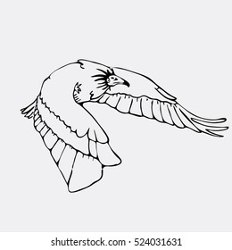 Hand-drawn pencil graphics, vulture, eagle, osprey, falcon, hawk, scavenger. Engraving, stencil style. Black and white logo, sign, emblem, symbol. Stamp, seal. Simple illustration. Sketch.