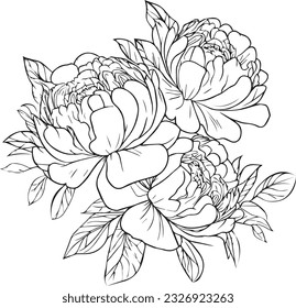 A hand-drawn peony coloring book of vector illustration artistic, blossom  flowers peony isolated on white background, sketch art leaf branch botanic collection for adults and children.