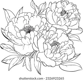 A hand-drawn peony coloring book of vector illustration artistic, blossom  flowers peony isolated on white background, sketch art leaf branch botanic collection for adults and children.