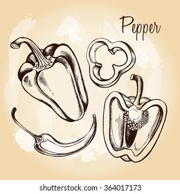 Hand-drawn peppers. Vector illustration.