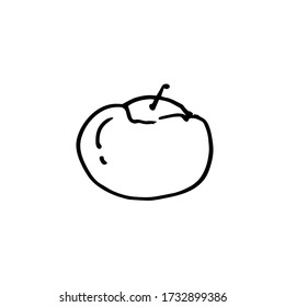 Hand-drawn persimmon. Simple sketch, outline. Black and white Doodle vector illustration