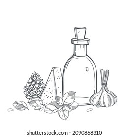 Hand-drawn pesto sauce. Ingredients: basil, cheese, nuts, oil and garlic. Vector sketch illustration