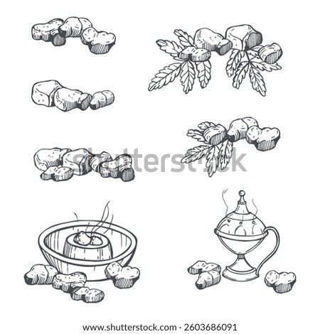 Hand-drawn pieces of incense. Vector sketch illustration. 