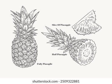 handgezeichnete Ananas-Set mit einer Sammlung von detaillierten und lebendigen Ananas-Illustrationen. Dieses Set eignet sich perfekt für eine Vielzahl von Designprojekten, einschließlich Branding, Verpackung und kreativer Grafiken