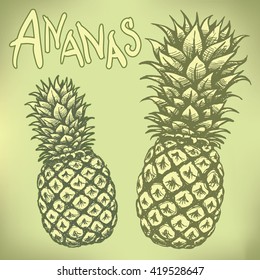 Hand-drawn pineapple set in green khaki colors