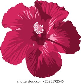 flor hibiscus rosa, imagem vetorial, desenhado à mão