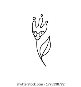 Hand-drawn plant. Doodle image of a flower. Floral vector for web, textiles, postcards, prints. Abstract plants, leaves, flowers.