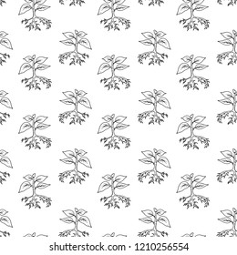 Handdrawn plant in the ground seamless pattern doodle icon. Hand drawn black sketch. Sign symbol. Decoration element. White background. Isolated. Flat design. Vector illustration.