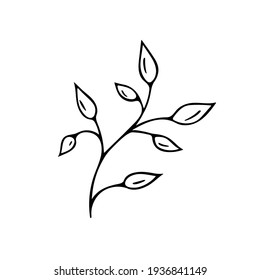 Hand-drawn plants.Doodle style, sketch,simple botanical line,drawing with floral elements,minimalism.Isolated.Vector illustration.