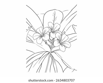 Hand-Drawn Plumeria Flower Line Art with Tropical Leaves – Black and White Botanical Illustration