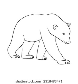 Hand-drawn Polar Bear. Sketch vector illustration. 