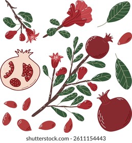 Hand-Drawn Pomegranate Illustration with Fruit, Flowers, and Leaves. Artistic depiction of pomegranates and their elements, illustrating whole fruits, seeds, blooms, and foliage in a colorful 