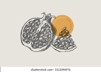 Hand-drawn pomegranate on light isolated background. Natural fruit in sectional view. Can be used for restaurant menu design, cafe, product packaging and cosmetics design. Vector vintage illustration.