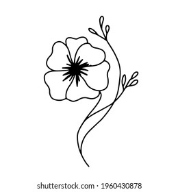 Hand-drawn poppy flower on a white background isolated. The flower with small leaves can be used for summer and spring design, textiles, logo, poster