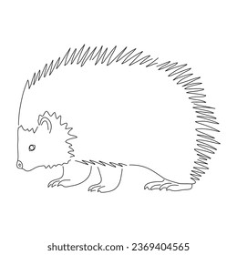 Hand-drawn Porcupine. Vector editable stroke.