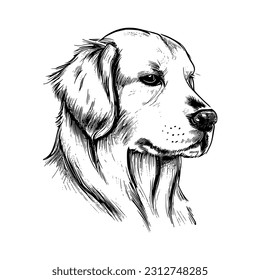 A hand-drawn portrait of a golden retriever, capturing its loyal and friendly nature.