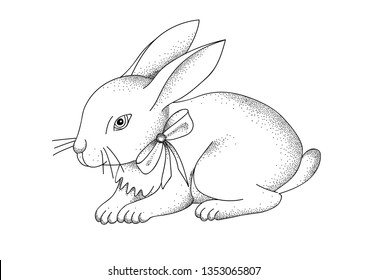 Hand-drawn portrait of rabbit. Easter bunny, sketch. Vector illustration