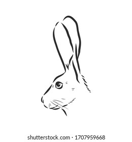 Hand-drawn portrait of rabbit. Vector illustration. portrait of a hare, head of a hare vector sketch illustration
