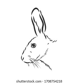 Retrato hecho a mano de conejo. Ilustración vectorial. retrato de una liebre, cabeza de un dibujo vectorial compartido