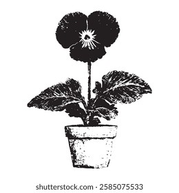 hand-drawn potted pansy flower vector illustration in vintage engraving style, perfect for botanical art, gardening themes, and floral design projects