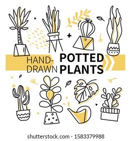 Hand-drawn potted plants collection - set of vector elements on white background. Decorative linear flowers and trees in different pots. Beautiful houseplants, monstera, ficus, zamioculcas, cacti