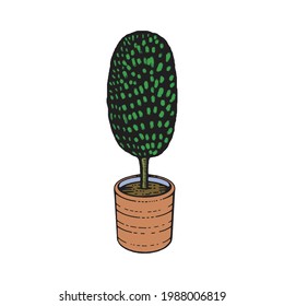 Hand-drawn potted tree topiary illustration. Home gardening, landscape design, nature decoration, horticulture. Ready to use vector art template.