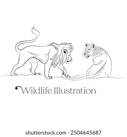 Hand-drawn predators illustrations, Vector line art of Lion and Lioness, Vector drawing of wild animals