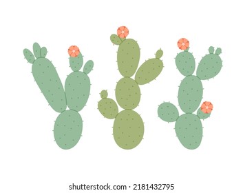 Hand-drawn prickly pear cactus with flowers. Desert plants. Flat vector illustration isolated on white background.
