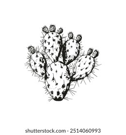 Hand-drawn Prickly Pear Cactus. Vector illustration design.