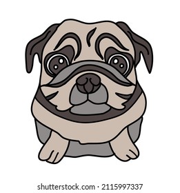 Hand-drawn pug isolated on white background. Dog vector illustration