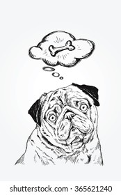 Hand-drawn pug on white background. Vector illustration