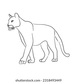 Hand-drawn Puma. Sketch vector illustration. 